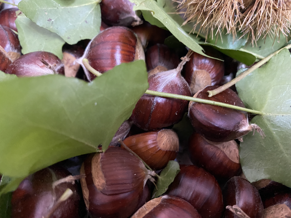 Recette crème de marrons maison - Edenae.fr