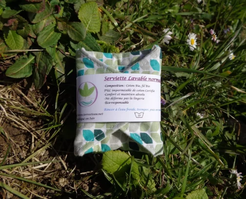 Serviette lavable normale